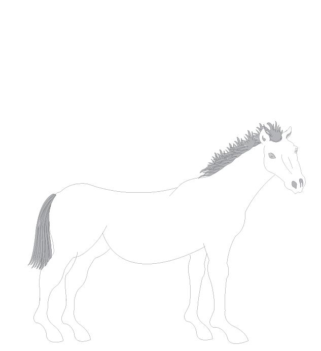 Horse Zodiac Sign